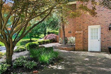 Beautiful maple approaching the front entry