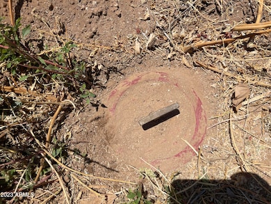 4D4342CF-5C0F-43C6-B978-E4EA097BE018