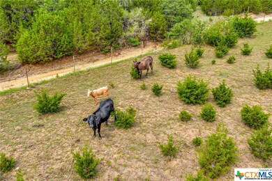 851 Wedgewood Dr, Copperas Cove, TX 76522 - photo 2