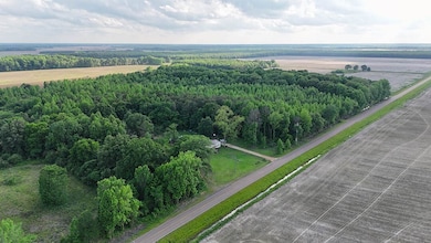 7245 Hood Rd, Marks, MS 38646 - photo 2