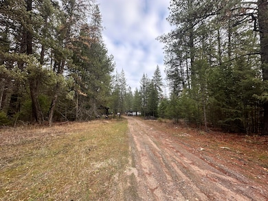 1496 E Hwy 20 #R, Colville, WA 99114 - photo 4