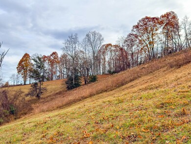 0 Sugar Hollow Rd unit Lot 3, Lafollette, TN 37766 - photo 4