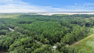 0 Pawlett Blake Ln unit 25023063, Wadmalaw Island, SC 29487 - photo 2