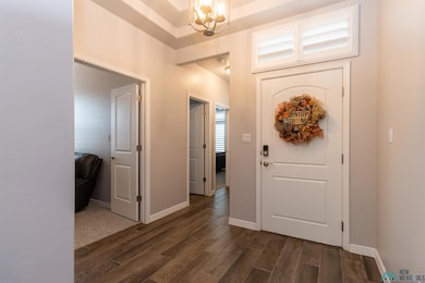 3709 S Sunnyview Ave, Carlsbad, NM 88220 - photo 6