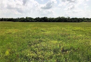 View of pasture looking West.