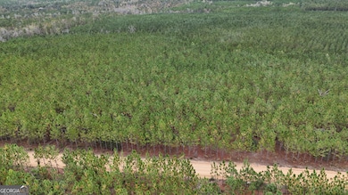 0 Penny Morris Rd, Baxley, GA 31513 - photo 6