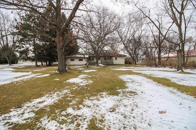 Buckhorn-9639