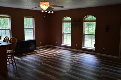 3258 Highway T, Poplar Bluff, MO 63901 - photo 4