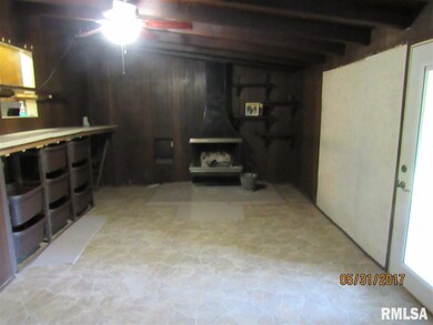 101 Ferry Rd, Geneseo, IL 61254 - photo 5