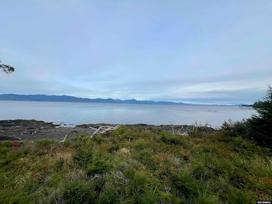 710 NE Red Cedar Ct, Coffman Cove, AK 99918 - photo 6