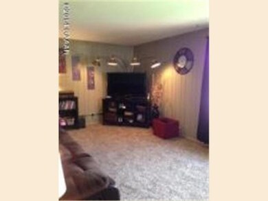 313 4th Ave NE, Glenwood, MN 56334 - photo 4