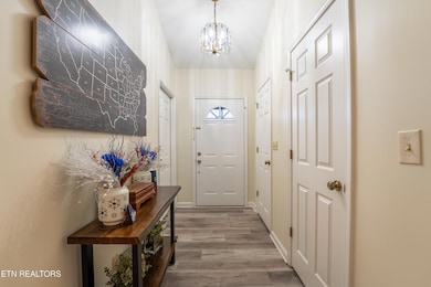 301 Cheestana Way, Loudon, TN 37774 - photo 3