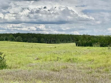 IMG_0535