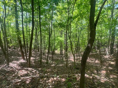 00 Cliffside Dr unit LotWP002, Hayesville, NC 28904 - photo 4