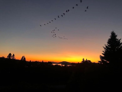 b-ezgif.com-webp-to-jpg-converter