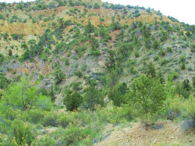 Carter East View