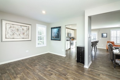 2084 Canyon Creek Ct, Aurora, IL 60503 - photo 4