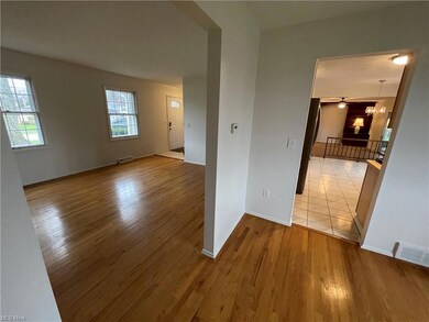 29335 Ridge Rd, Wickliffe, OH 44092 - photo 4