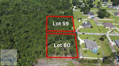 112 Vixenhill Dr, Jesup, GA 31546 - photo 3