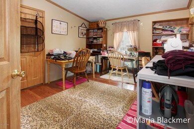 7028 O Brien Rd, Hubbardston, MI 48845 - photo 7