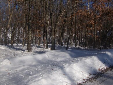 Lot 38 & 39 Thunderbird Dr, Jackson, WI 54830 - photo 3