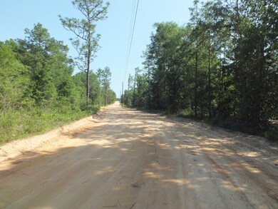 Squirrel Haven Road - Lot 20 on left