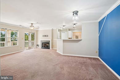 11005 Kinship Ct unit 303, Manassas, VA 20109 - photo 5
