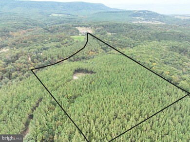 26.89 AC N Texas Rd, Delray, WV 26714 - photo 3