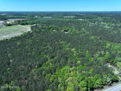 DJI_20250410125010_0544_D