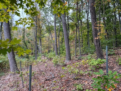 0 Lower Twin Rd, South Salem, OH 45681 - photo 2