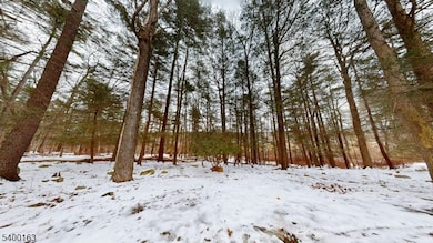 605 Sleepy Hollow Rd unit B, Montague Township, NJ 07827 - photo 5