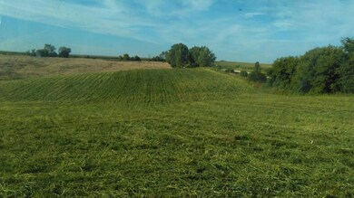 TBD Aurora Rd, Preble Township, MN 55954 - photo 2