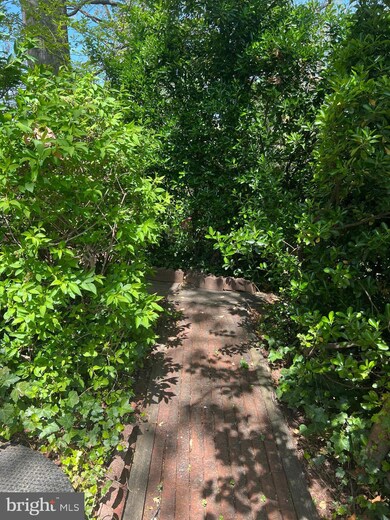 1601 Mount Eagle Place, Alexandria, VA 22302 - photo 4