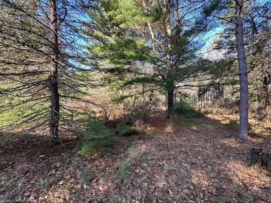 2782 8th Ct, Adams, WI 53910 - photo 3