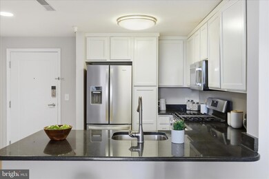 355 I St SW unit S311, Washington, DC 20024 - photo 6