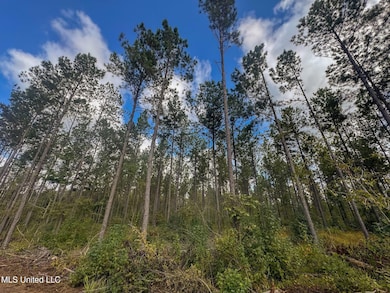 0 Pisgah Rd, Brandon, MS 39047 - photo 2