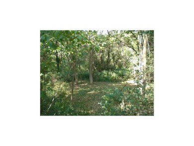 Yard. The back wooded area is twice as wide as the