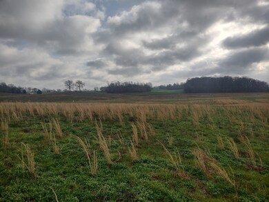 9 Highway161, Springfield, TN 37172 - photo 3