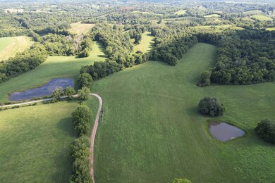DJI_0323