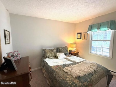 46 Corey Rd unit 46, Hancock, MA 01237 - photo 7