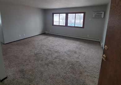 725 S 9th St unit 3, Bird Island, MN 55310 - photo 5