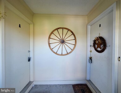 126 Blairton Rd, Martinsburg, WV 25404 - photo 3