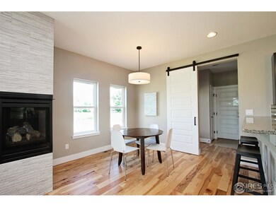 433 Osiander St, Fort Collins, CO 80524 - photo 5