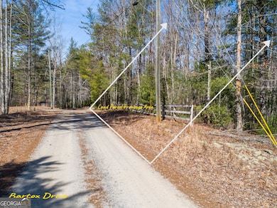 0 Bartox Dr unit 10474667, Ellijay, GA 30540 - photo 2