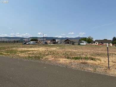 10703 Greg Ln, Islandcity, OR 97850 - photo 6