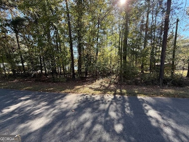 0 Gardenia Rd unit 10648054, Sparta, GA 31087 - photo 3