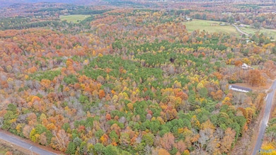 18 acres County Road 359, Pisgah, AL 35765 - photo 5