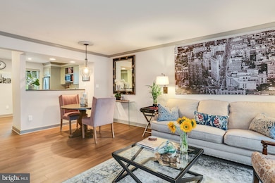 5065 9th St S, Arlington, VA 22204 - photo 4