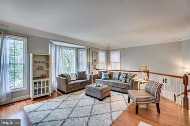 4637 Kemp Ct, Alexandria, VA 22311 - photo 7