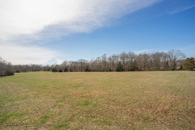 000 E State Highway Yy, Strafford, MO 65757 - photo 4